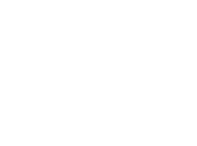 AnamData