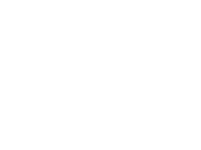 AnamData